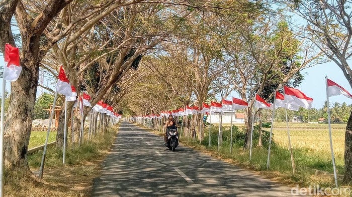 Pengibaran 1.708 Bendera di Ngombol Purworejo Jadi Spot Swafoto Warga